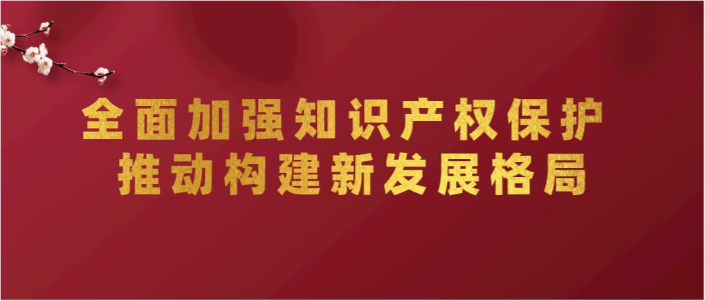 全面加强知识产权保护推动构建新发展格局福建省知识产权奋进十三五