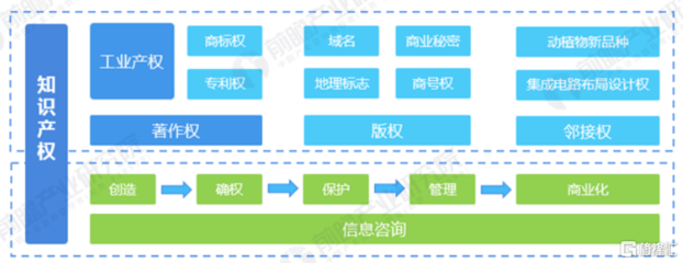 知识产权顶层设计蓝图出炉!一站式全链条服务商安盾网迎重大契机